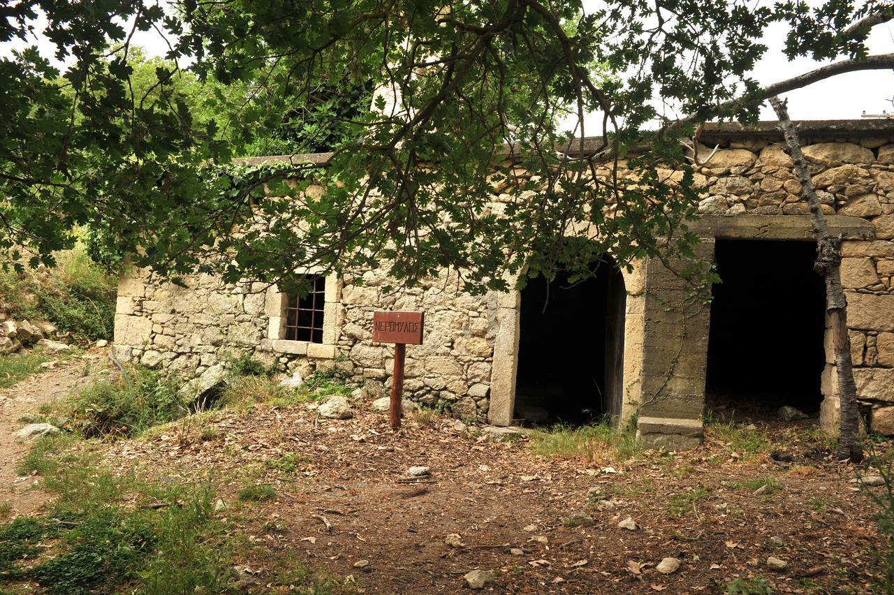 Villa Axenti Agios Thomas  Extérieur photo
